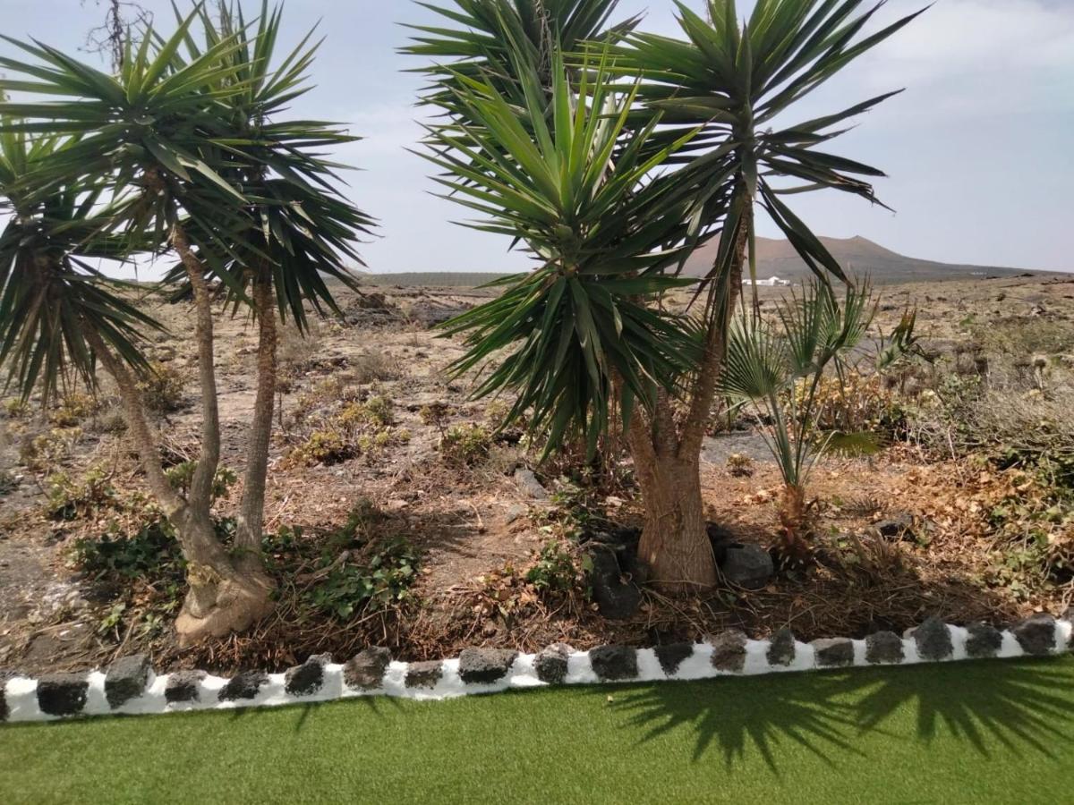 Lanzarote Casa Volcanica-Anclada Sobre La Lava Del Volcan Montana Blanca エクステリア 写真