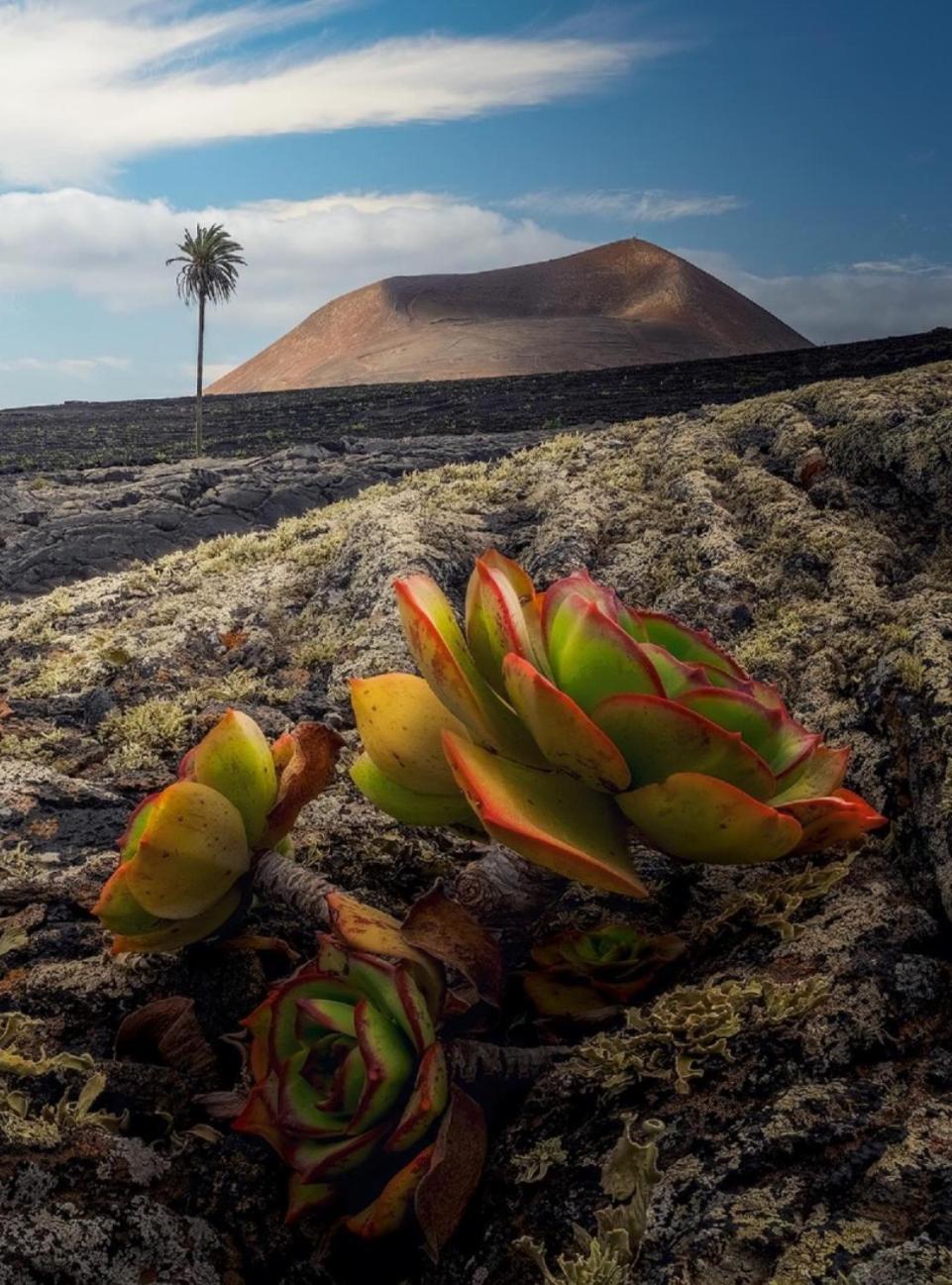 Lanzarote Casa Volcanica-Anclada Sobre La Lava Del Volcan Montana Blanca エクステリア 写真